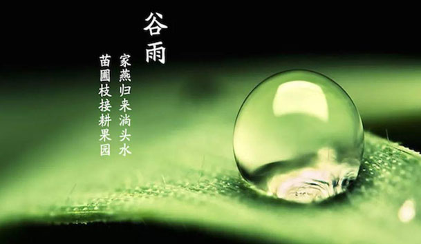 今日谷雨 | 谷得雨而生，夏天要醒了！(圖1)
